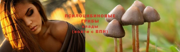 прущая мука Магадан